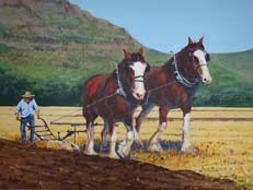The Ploughing Match